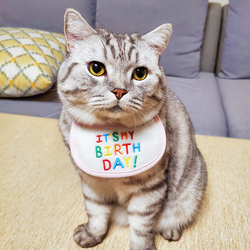 Cat Birthday Bibb