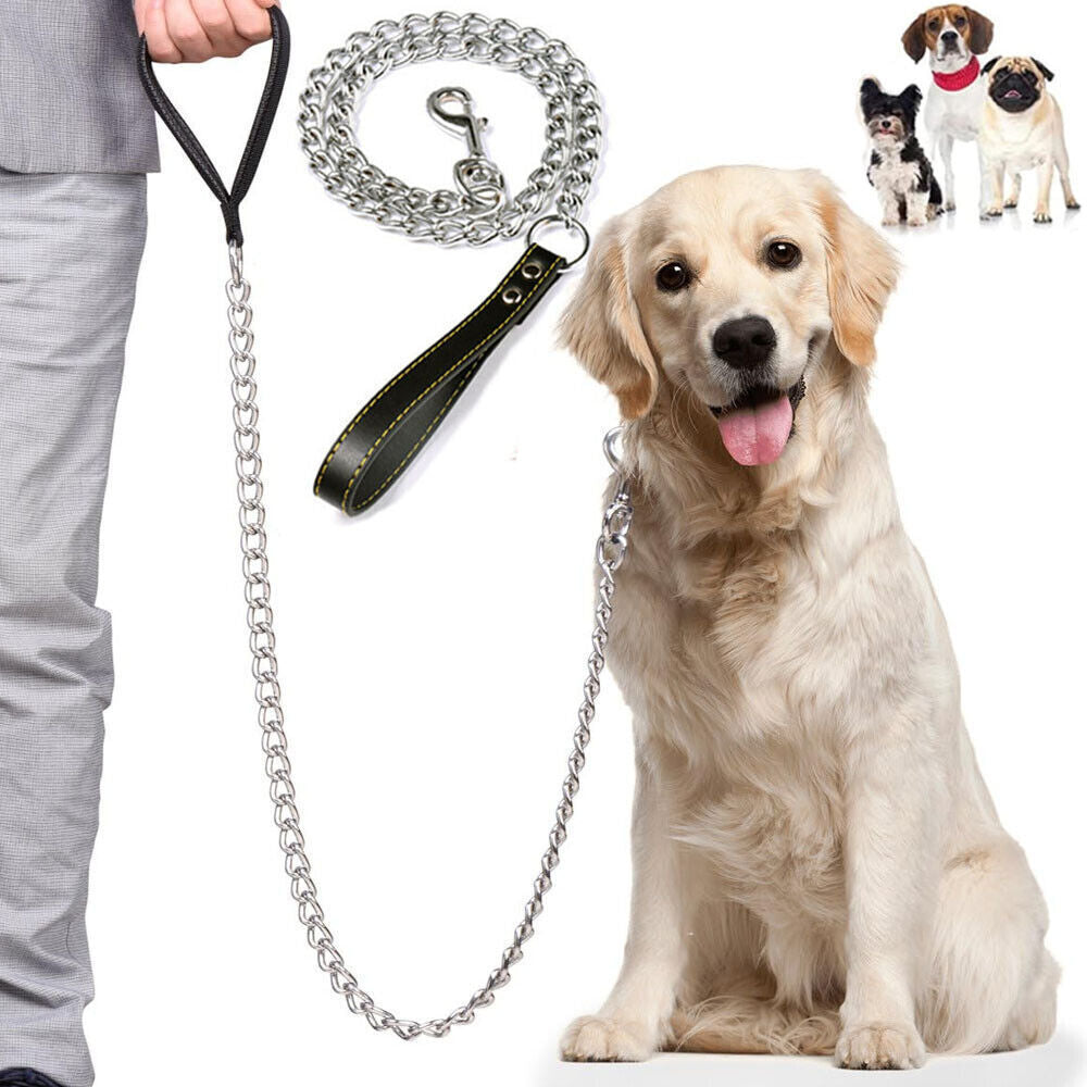 Metal Chain Leash