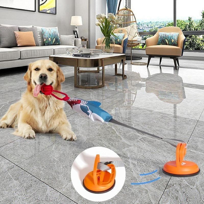 Interactive Dog Toy With Suction Cup