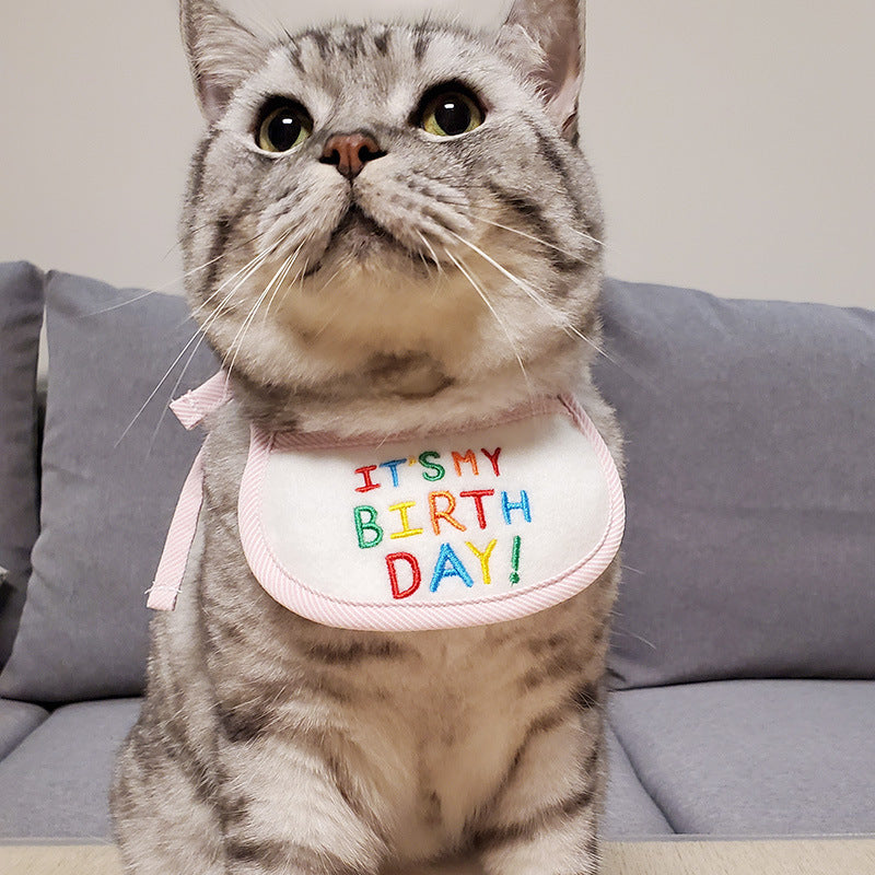 Cat Birthday Bibb