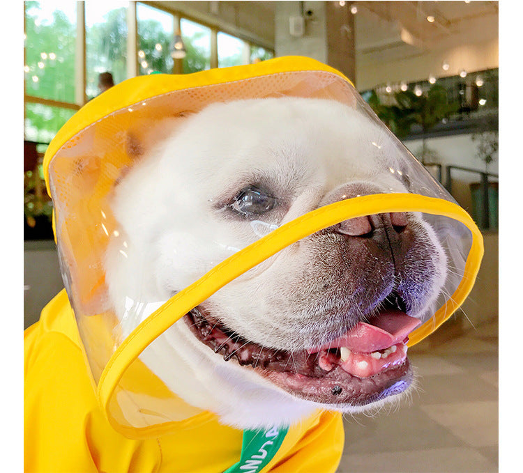 Dog Raincoat