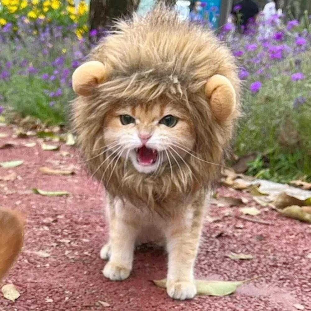 Cat Lion Wig
