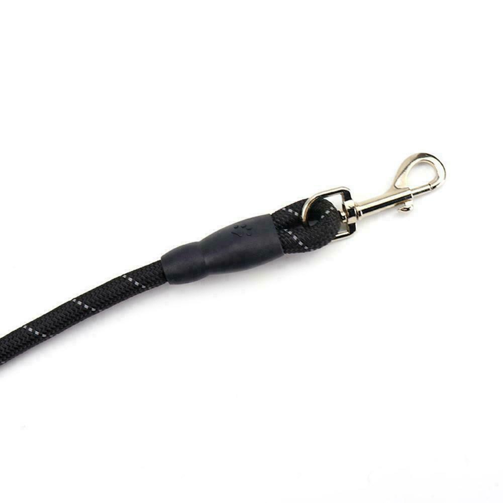 Dogs Leash