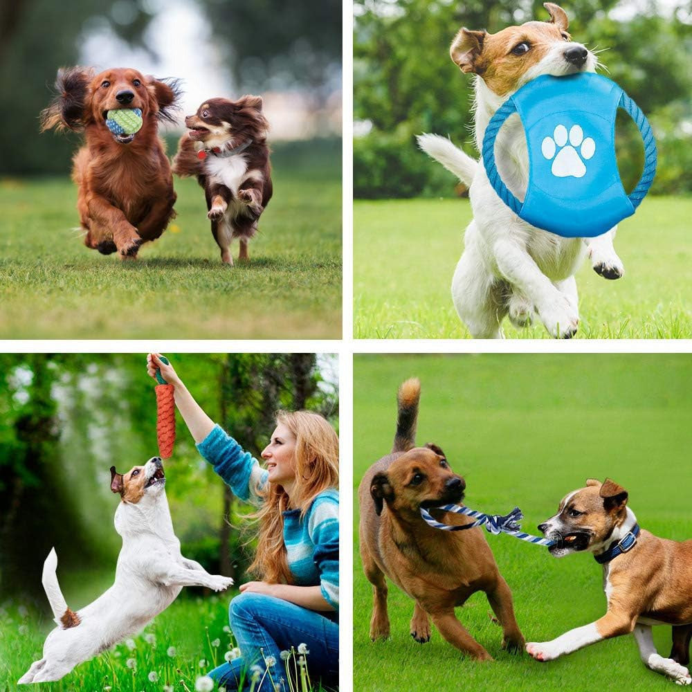 15pcs Puppy Toy Bundle