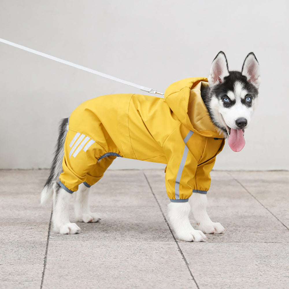 Dog Raincoat