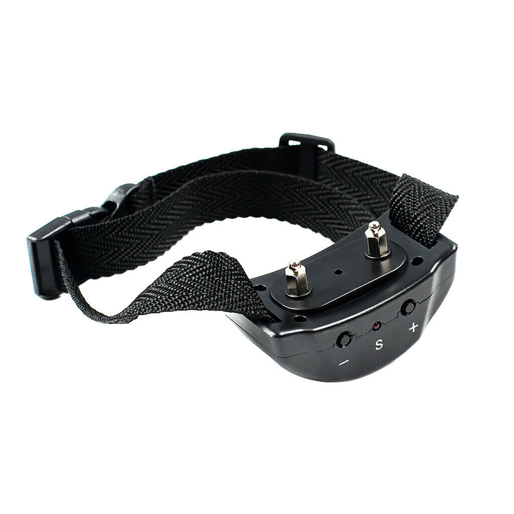 Dog Training Pet Collar