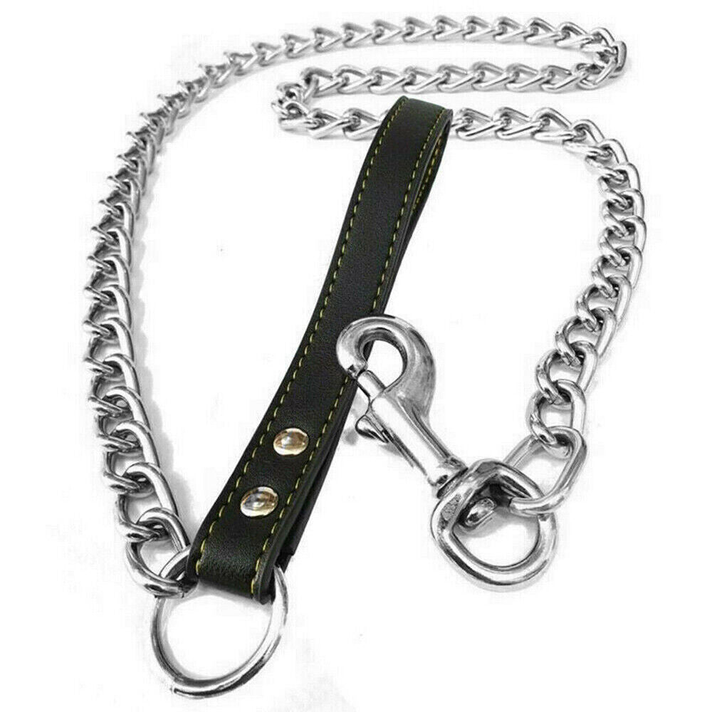 Metal Chain Leash