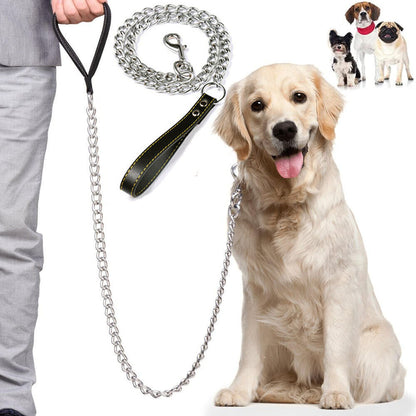 Metal Chain Leash