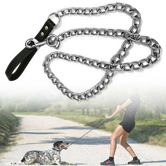 Metal Chain Leash