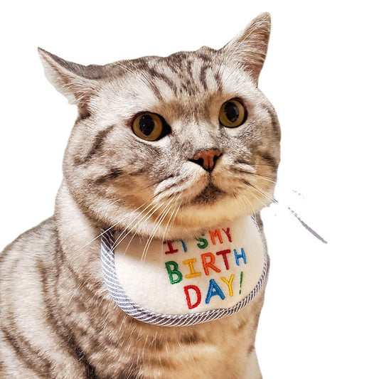 Cat Birthday Bibb