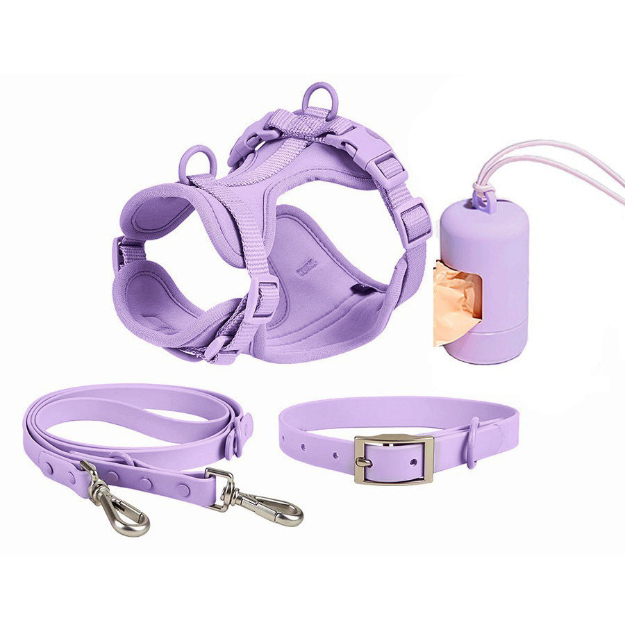 Dog Walking Set