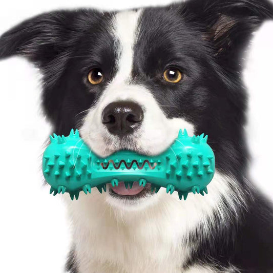 Cleaning Chew Toy
