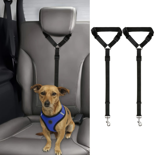 Dog Leash Set
