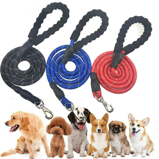 Dogs Leash