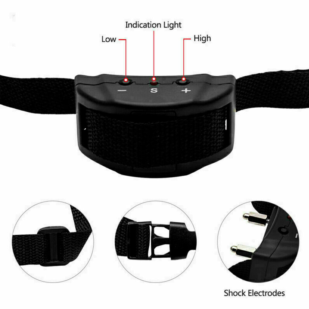 Dog Training Pet Collar