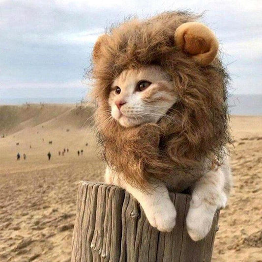 Cat Lion Wig