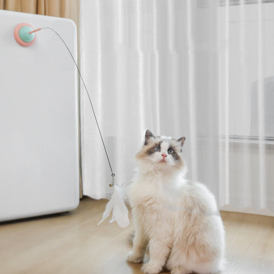 Cat Suction Toy