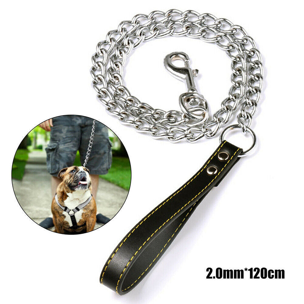 Metal Chain Leash
