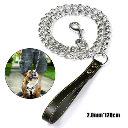 Metal Chain Leash