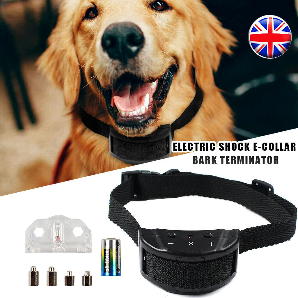 Dog Training Pet Collar